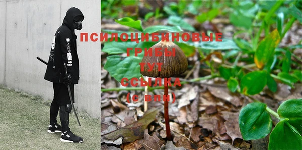 тгк Абаза