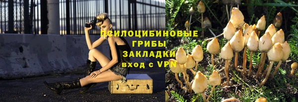 дживик Абинск